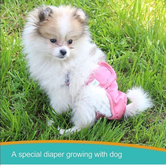 Other - ✨4xHP✨Paw Legend Reusable Female Dog Diapers✨
